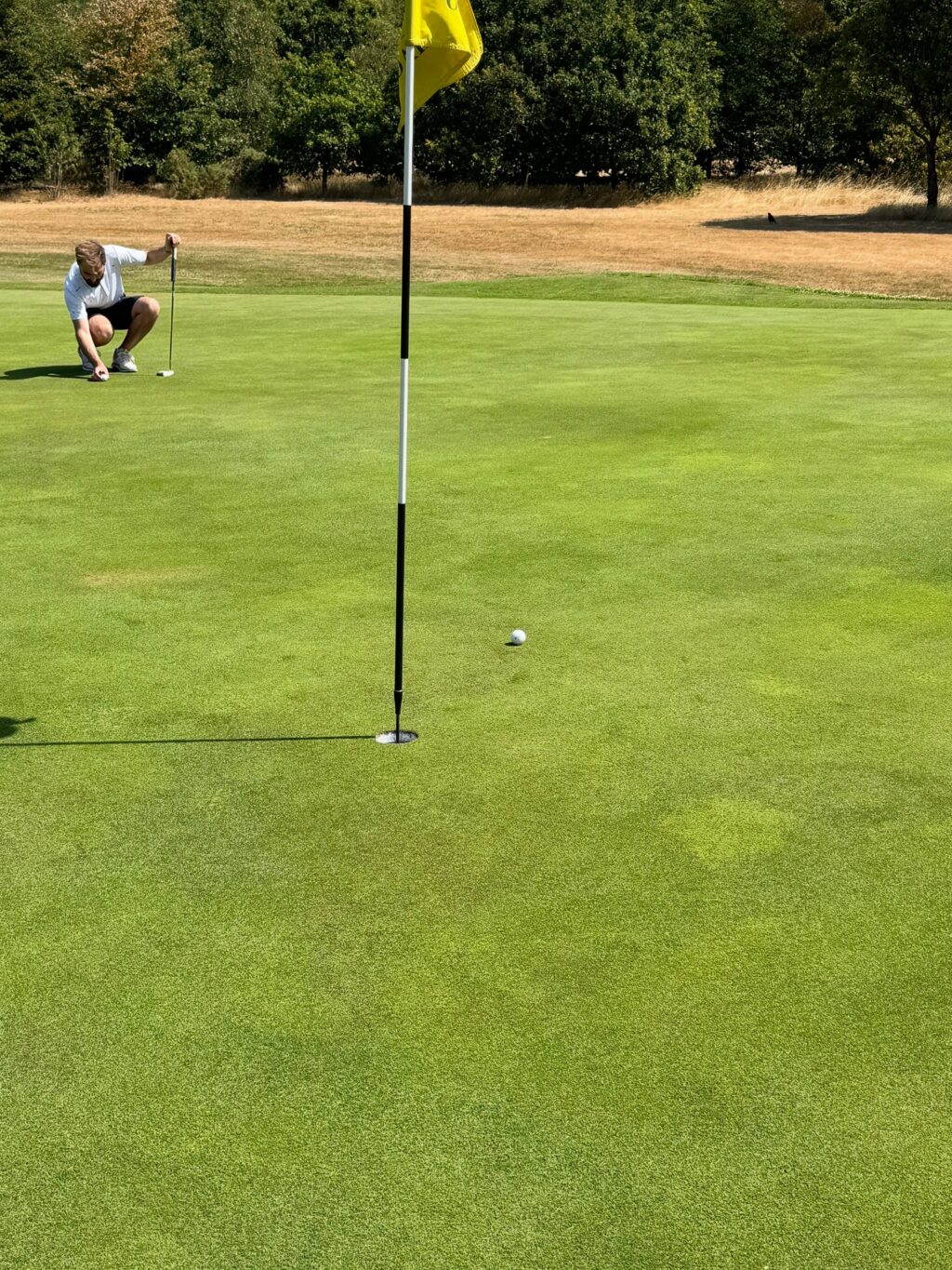Instagram post from adamcullipelec. This post is in position 5.