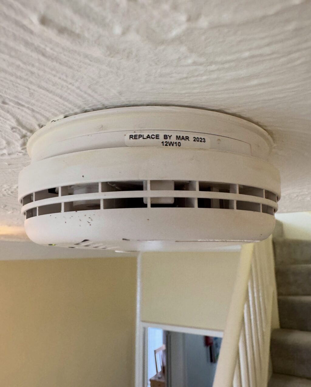 Instagram post from adamcullipelec. This post is in position 2.